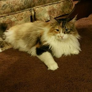 Meet your Posher, Kathy